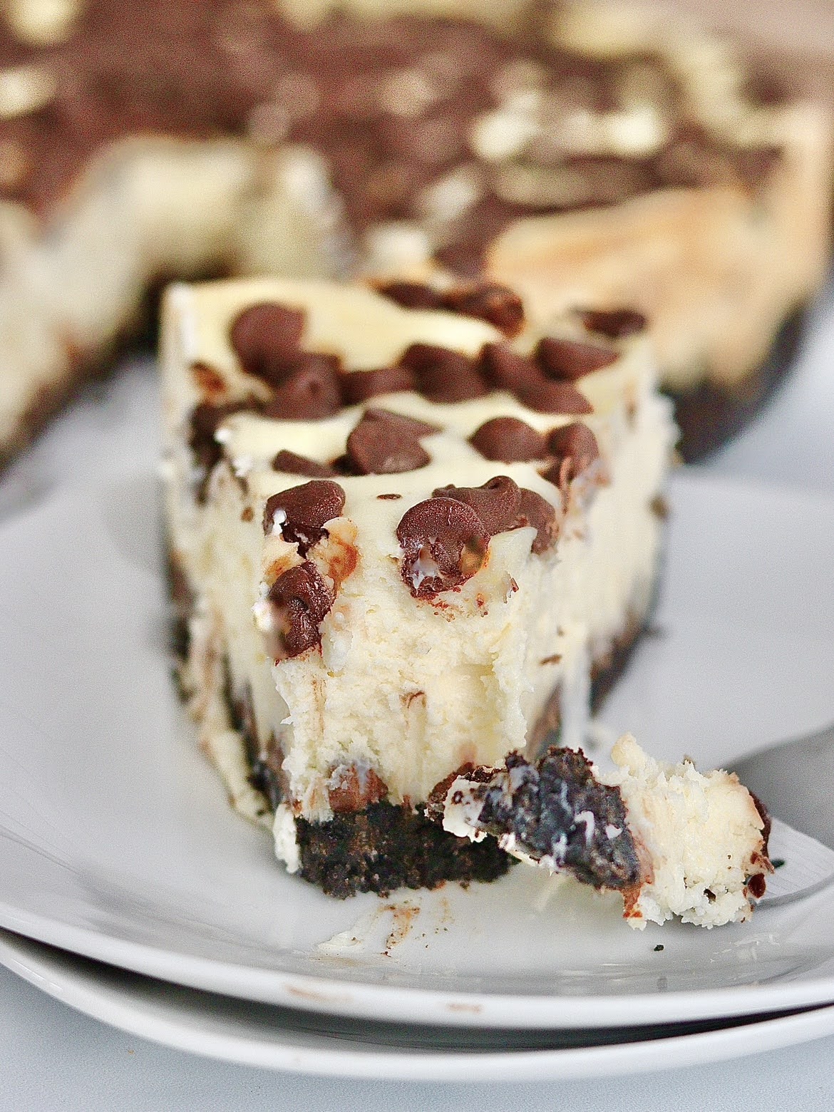Close up photo of a slice of chocolate chip cheesecake.